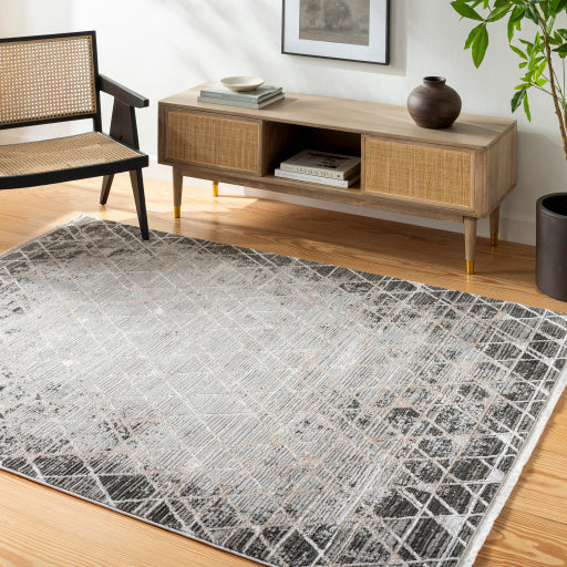 Surya Obsession OBN-2301 Charcoal Modern Rug