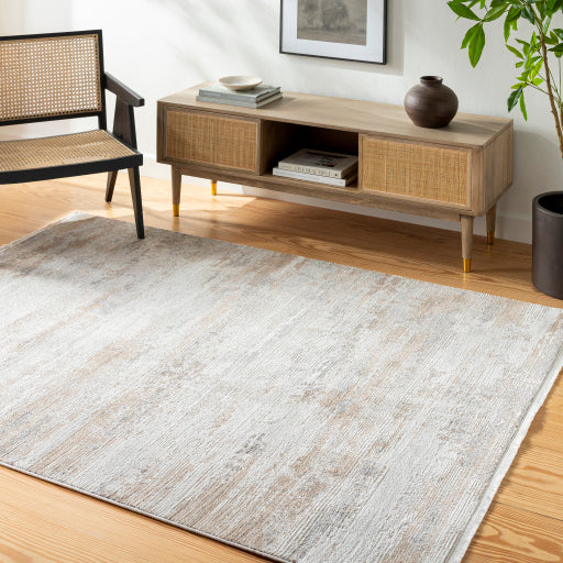 Surya Obsession OBN-2303 Light Gray Modern Rug