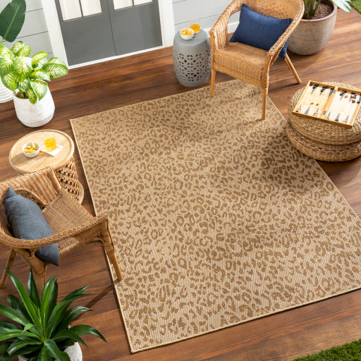 Surya Pismo Beach PMB-2300 Tan Modern Rug