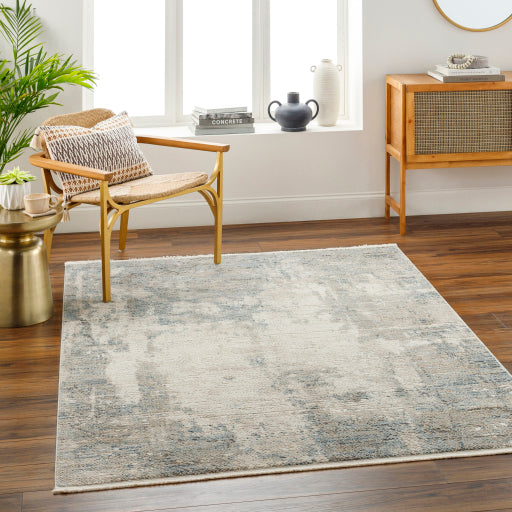 Surya Perugia PRG-2307 Medium Gray Modern Rug