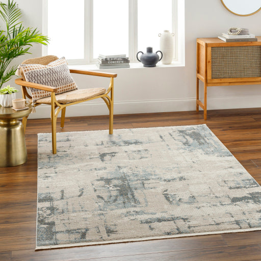 Surya Perugia PRG-2308 Medium Gray Modern Rug