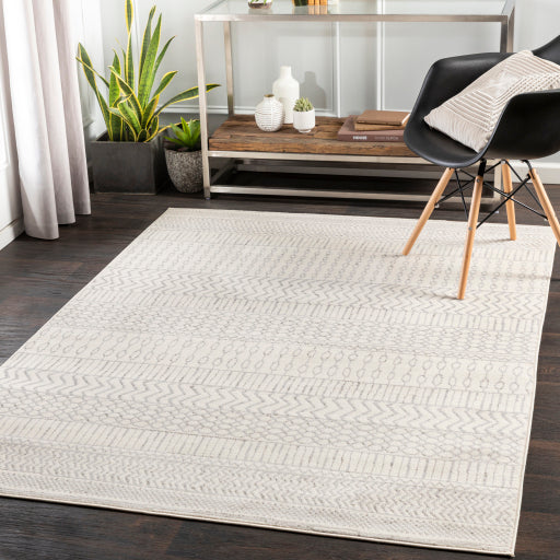 Surya Pisa PSS-2301 Medium Gray Global Rug