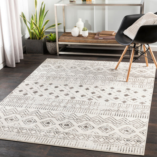 Surya Pisa PSS-2305 Charcoal Global Rug