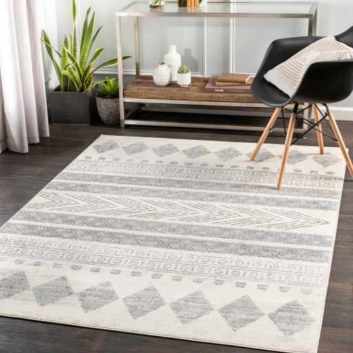 Surya Pisa PSS-2306 Medium Gray Global Rug