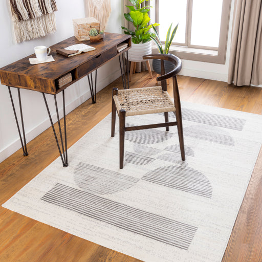 Surya Pisa PSS-2319 Light Gray Modern Rug