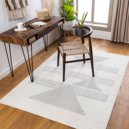 Surya Pisa PSS-2321 Light Gray Modern Rug