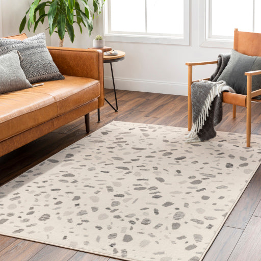 Surya Pisa PSS-2349 Light Gray Modern Rug