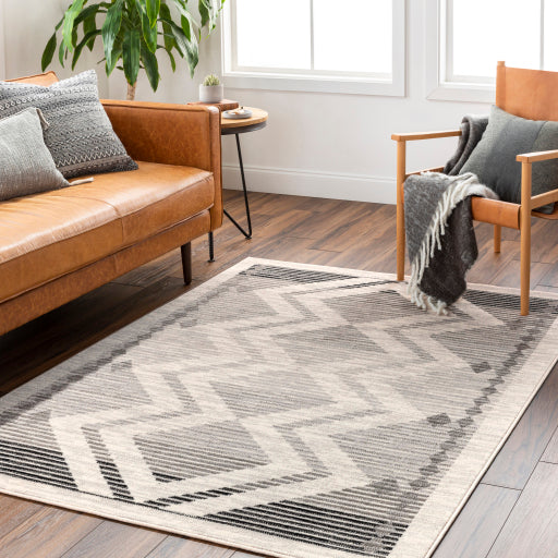 Surya Pisa PSS-2353 Light Gray Global Rug
