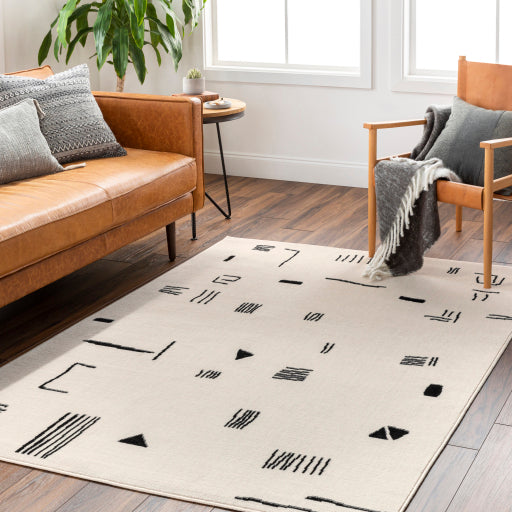 Surya Pisa PSS-2357 Light Gray Modern Rug