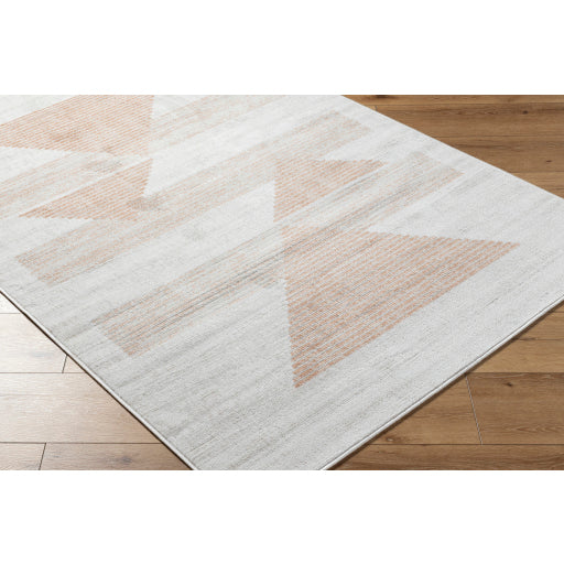 Surya Pisa PSS-2389 Light Gray Modern Rug