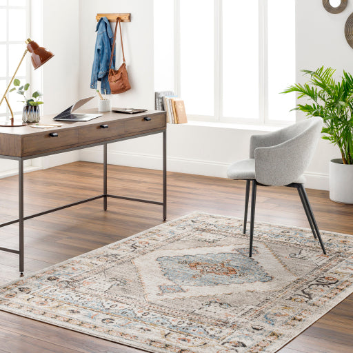 Surya Pertek PTK-2311 Taupe Traditional Rug