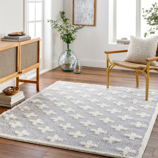 Surya Rodos RDO-2306 Light Slate Modern Rug
