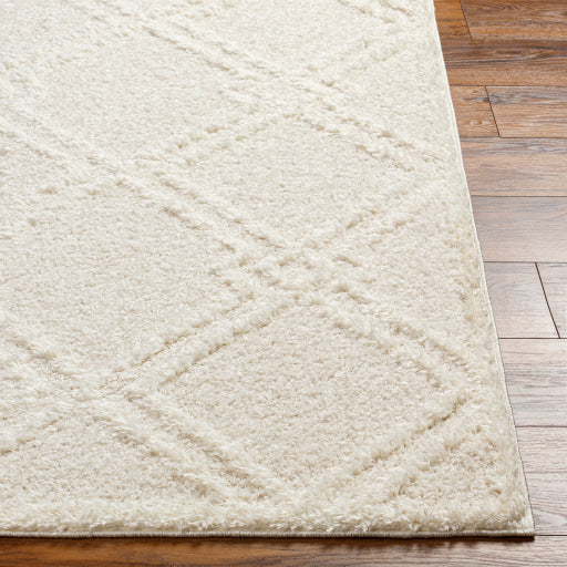 Surya Rodos RDO-2312 Beige Modern Rug