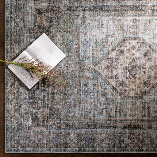 Surya Regen RGE-2311 Pale Blue Traditional Rug