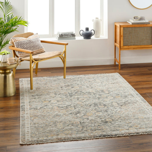 Surya Rojin ROJ-2301 Oatmeal Traditional Rug