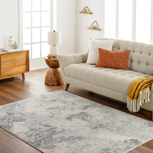 Surya Rojin ROJ-2302 Gray Modern Rug