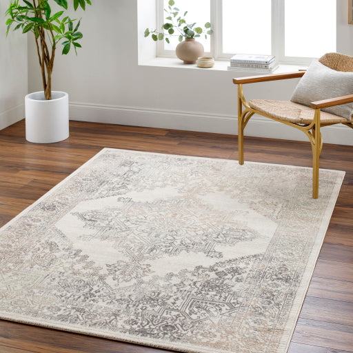 Surya Roma ROM-2405 Cream Traditional Rug