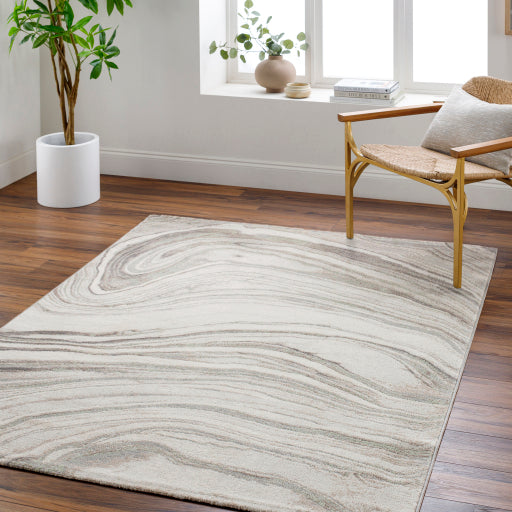 Surya Roma ROM-2409 Cream Modern Rug
