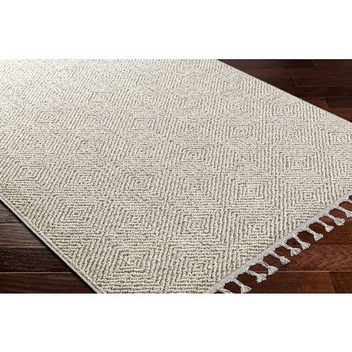 Surya Rockport RPT-2310 Light Gray Modern Rug
