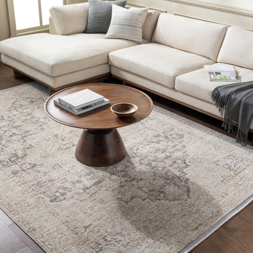 Surya Rivaldo RVD-2310 Cream Traditional Rug