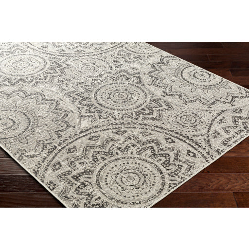 Surya Ravello RVL-2314 Ivory Cottage Rug