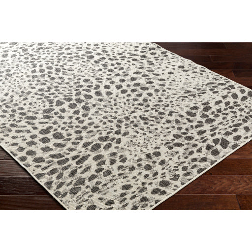 Surya Ravello RVL-2356 Ivory Modern Rug