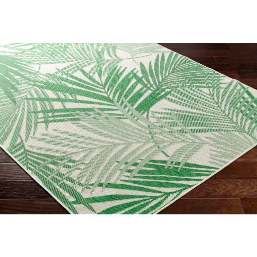 Surya Ravello RVL-2359 Grass Green Coastal Rug