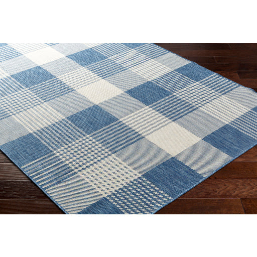 Surya Ravello RVL-2369 Denim Cottage Rug