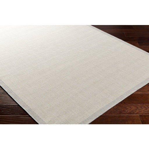 Surya Ravello RVL-2383 Light Gray Modern Rug