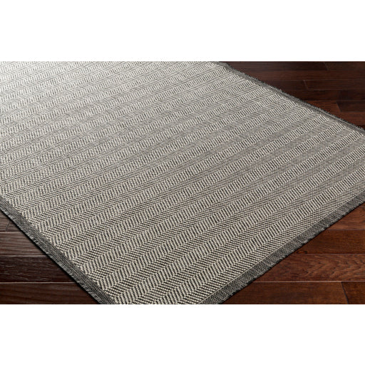 Surya Ravello RVL-2384 Light Gray Modern Rug