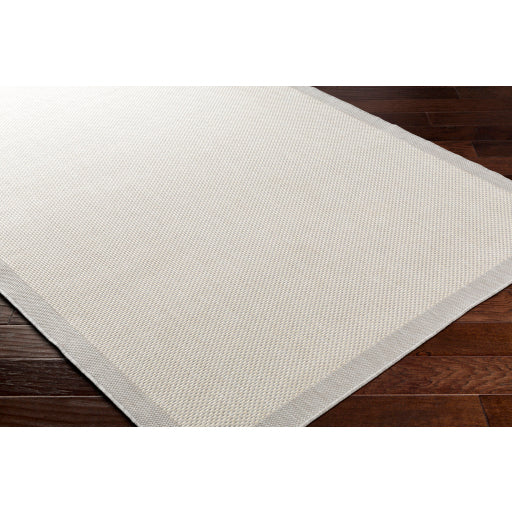 Surya Ravello RVL-2390 Light Gray Modern Rug
