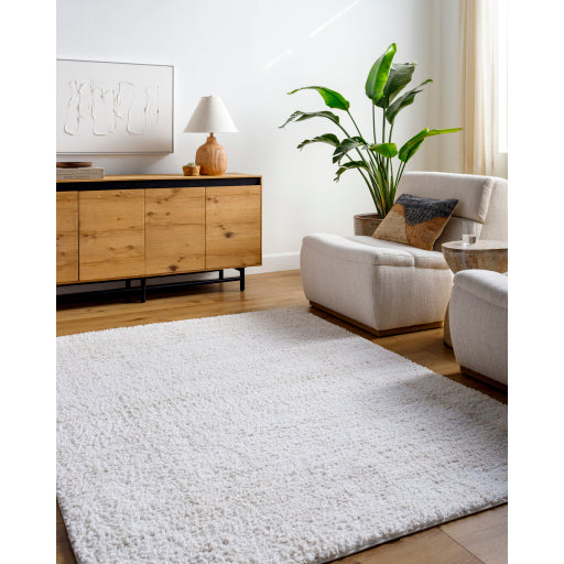 Surya Sacramento Shag SCS-2300 White Modern Rug