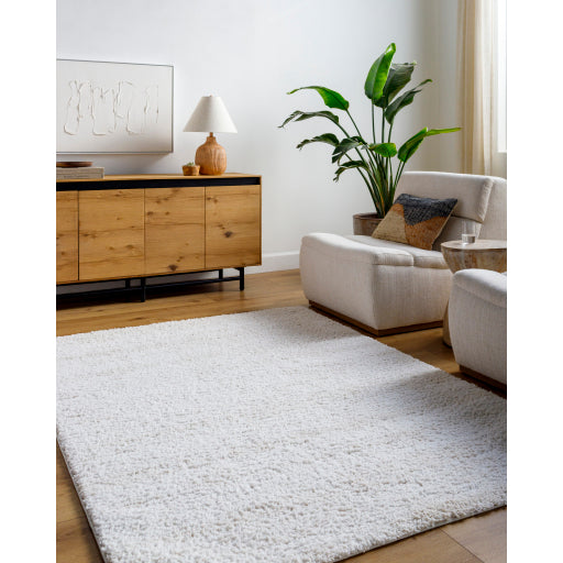 Surya Sacramento Shag SCS-2301 White Modern Rug