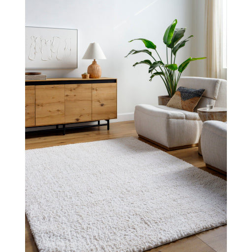 Surya Sacramento Shag SCS-2302 White Modern Rug