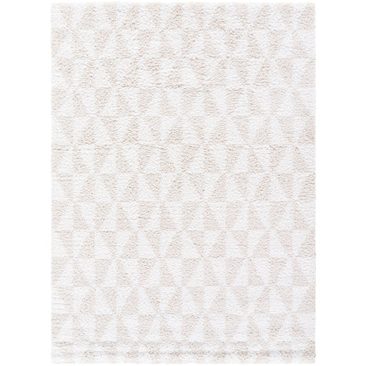 Surya Sacramento Shag SCS-2303 White Modern Rug