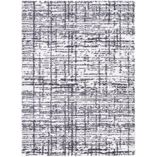 Surya Sacramento Shag SCS-2304 White Modern Rug