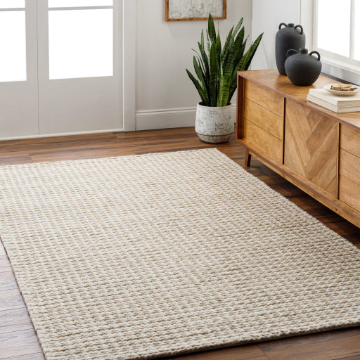 Surya Sundance SDC-2300 Ivory Modern Rug
