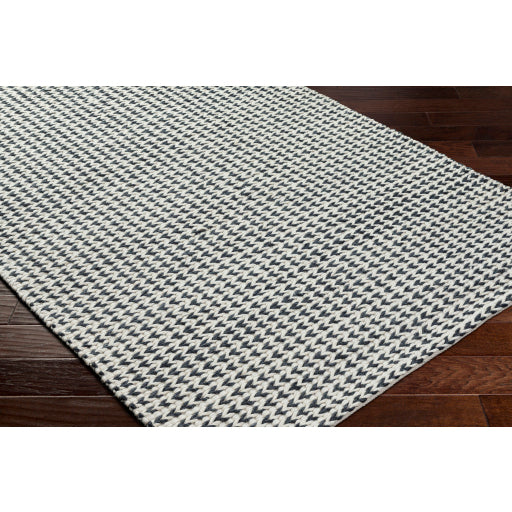 Surya Sundance SDC-2301 Ivory Modern Rug