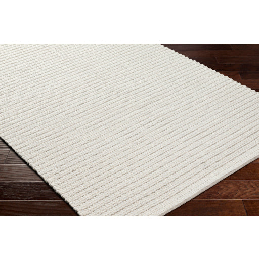 Surya Sundance SDC-2302 Ivory Modern Rug