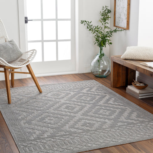 Surya San Diego SFG-2307 Gray Modern Rug