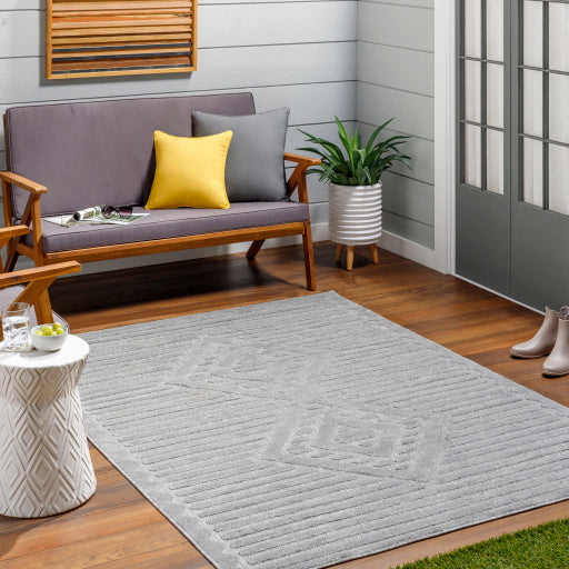 Surya San Diego SFG-2325 Gray Modern Rug