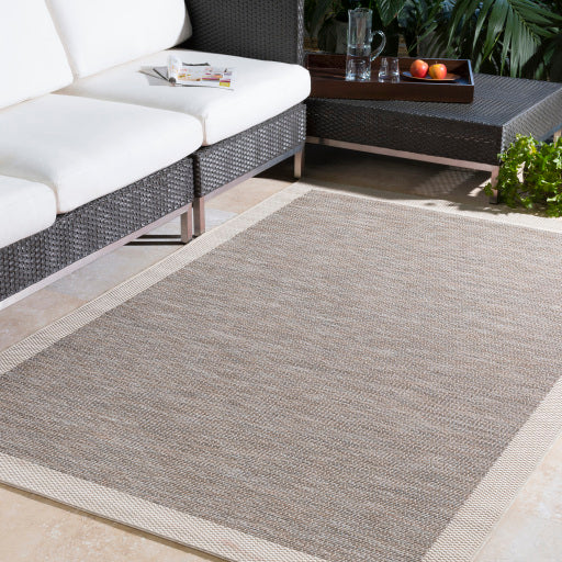 Surya Santa Cruz STZ-6002 Taupe Modern Rug