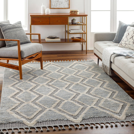Surya Sousse SUS-2301 Gray Global Rug