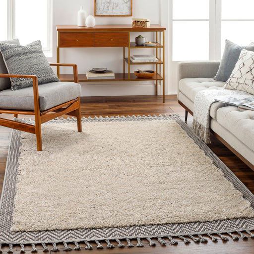 Surya Sousse SUS-2305 Light Beige Global Rug