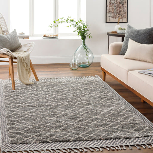 Surya Sousse SUS-2306 Gray Global Rug