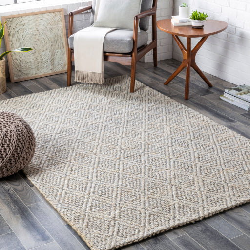 Surya Trace TCE-2301 Cream Modern Rug