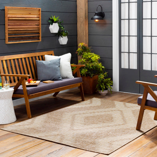 Surya Tuareg TRG-2336 Light Beige Rustic Rug