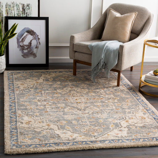 Surya Tuscany TUS-2309 Denim Traditional Rug