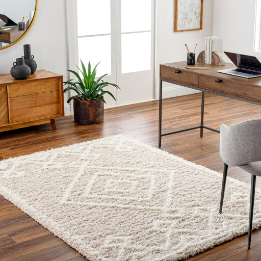 Surya Urban Shag USG-2312 Beige Modern Rug