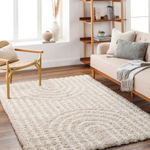 Surya Urban Shag USG-2315 Beige Global Rug